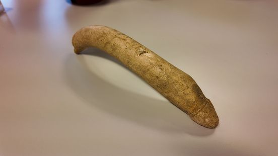 Bijzonder penisbeeld duikt op in eerste 300 'dozen vol schatten' bij provincie