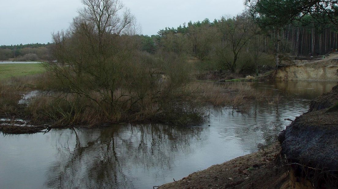 De dinkel, een voorbeeld van water in Twente
