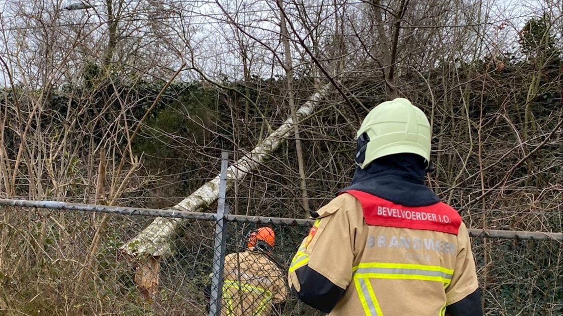 Aan de Anjelierstraat in Wierden viel een boom op spoor