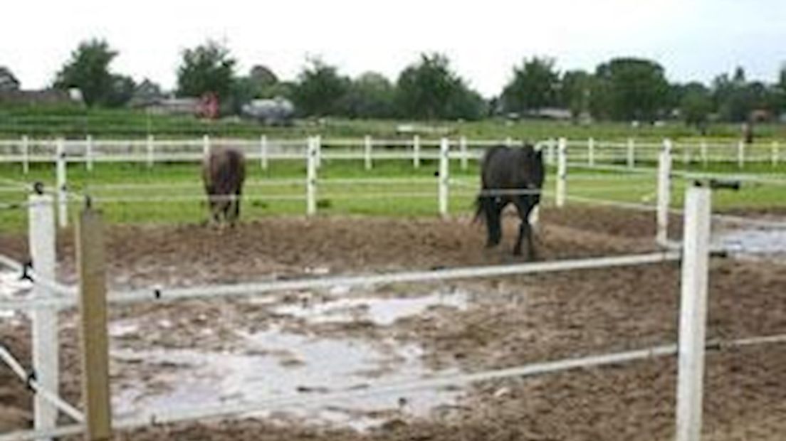 Waarschuwing paardeneigenaar