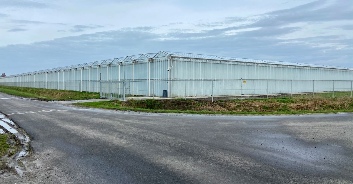 Custom License Plate Premium Car Reg 16" Short 4D Number Plate *6 DIGIT* MOT & ROAD LEGAL Car Van | UK Plaque Personnalisée - Foto 3