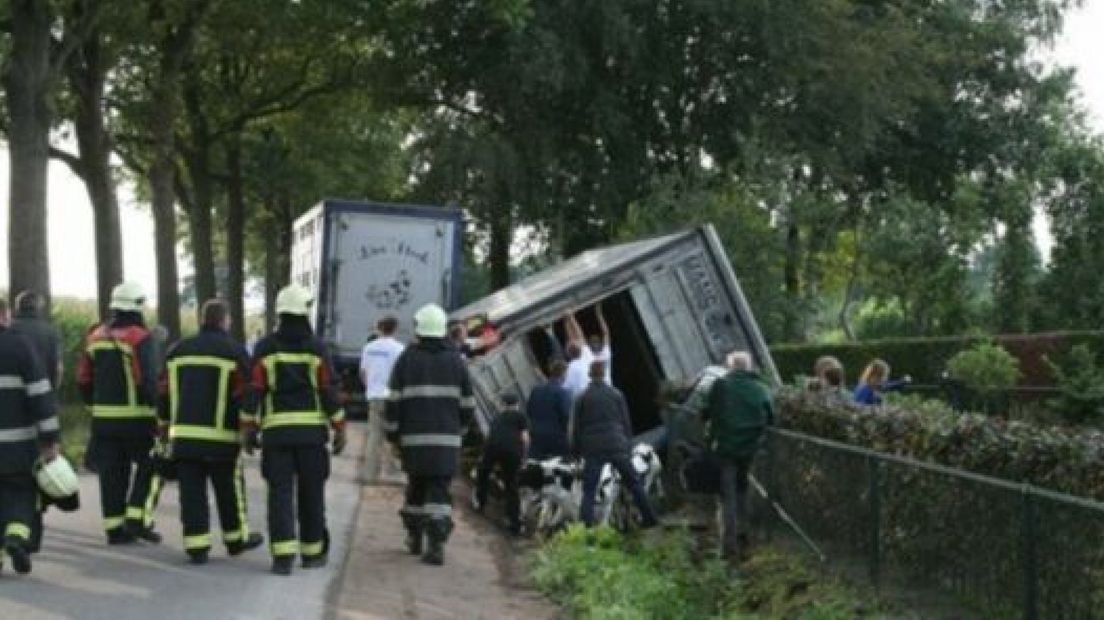 Drie kalveren dood door ongeluk