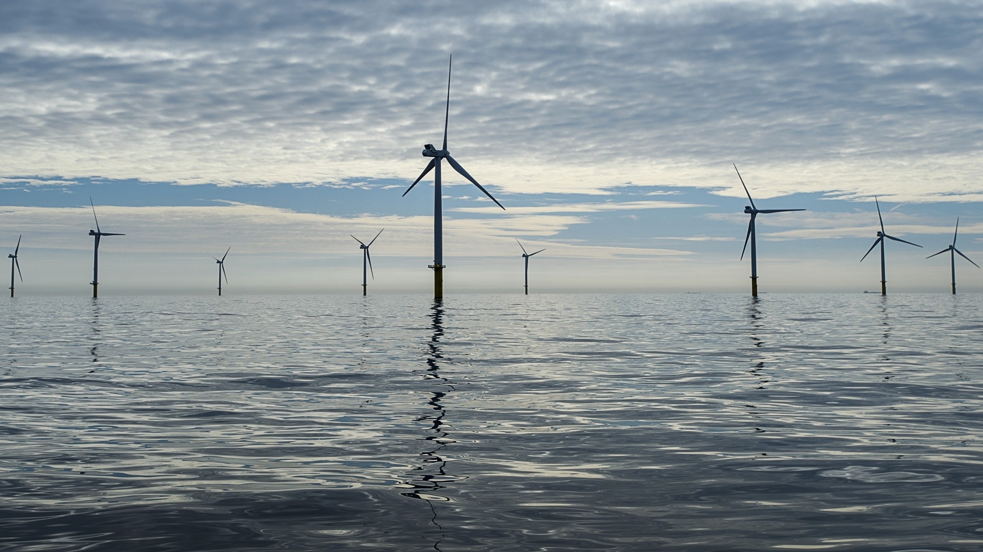 Kabinet Wil Dat Gasunie Waterstofnetwerk Op De Noordzee Gaat ...