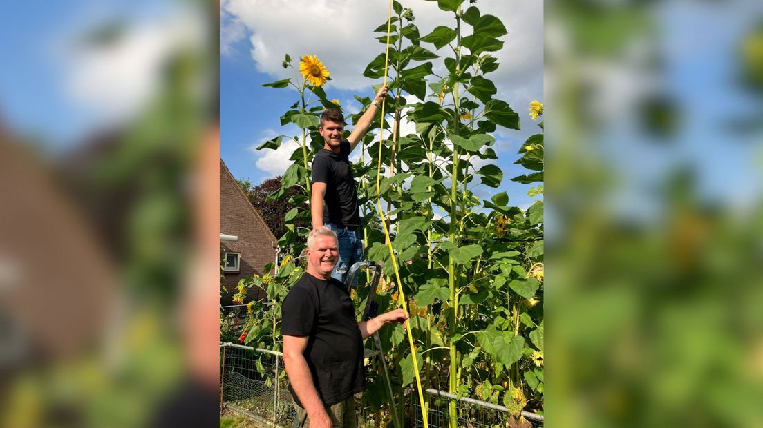 Jan en Willem uit Nijland doen met 406 centimeter ook leuk mee.