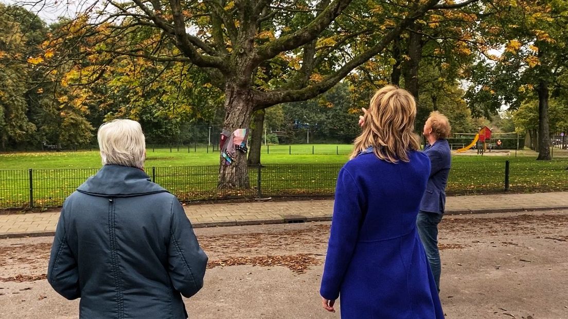 De buurt wil de kastanjeboom niet kwijt