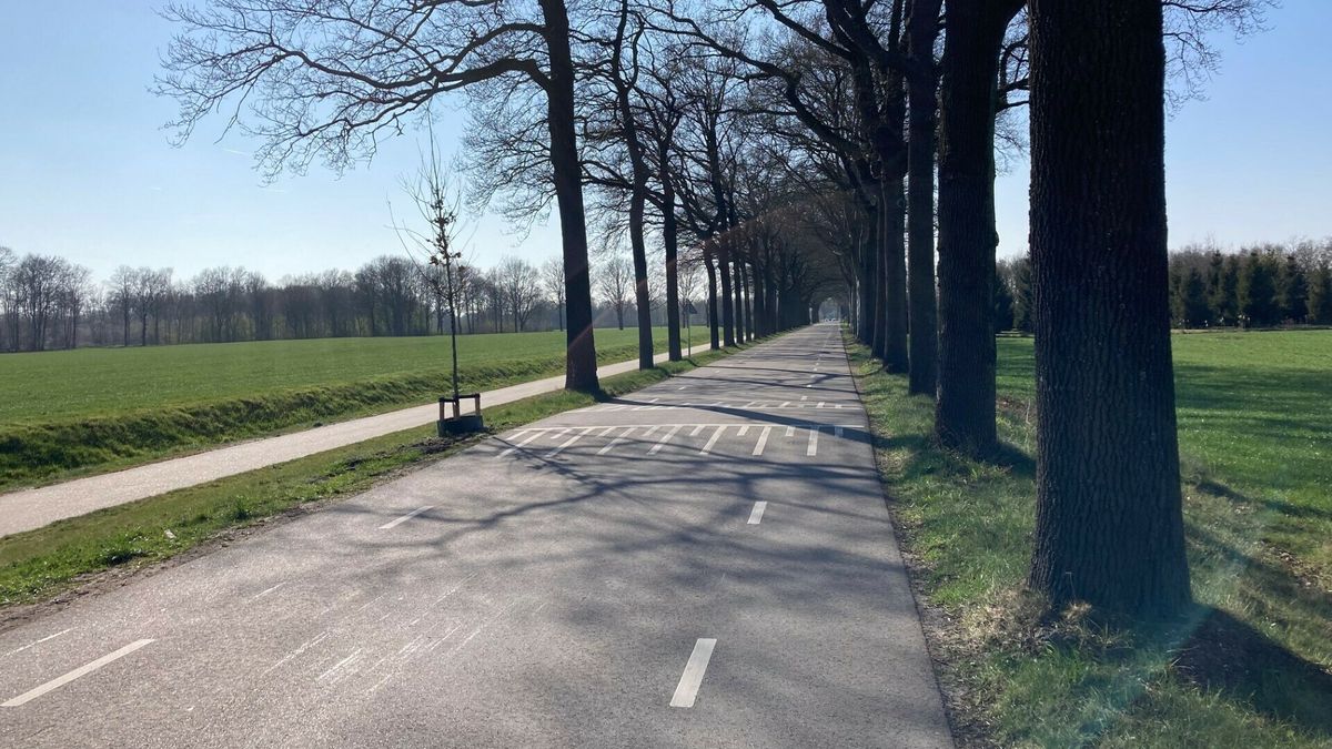 Bomenkap blijkt splijtzwam: bewoners willen actie, Hoogeveen blijft terughoudend