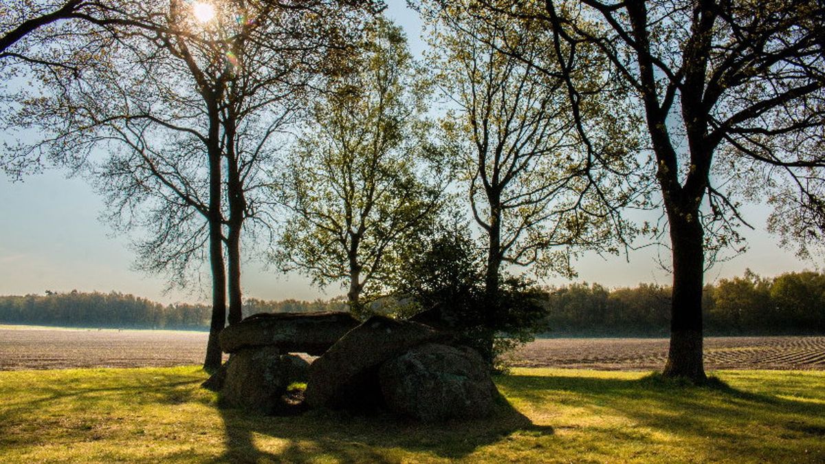 Waar werd het gebied rondom hunebed D29 voor gebruikt? De RUG doet diepgravend onderzoek