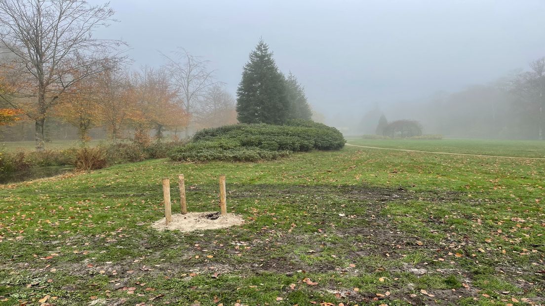 De plek op het landgoed waar de boom komt te staan