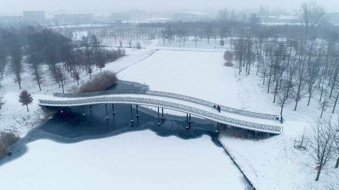 Winterse plaatjes in het Máximapark in Leidsche Rijn.