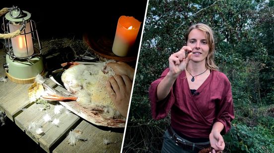 Een maand leven van wild voedsel: ‘Ik heb de supermarkt absoluut niet gemist’