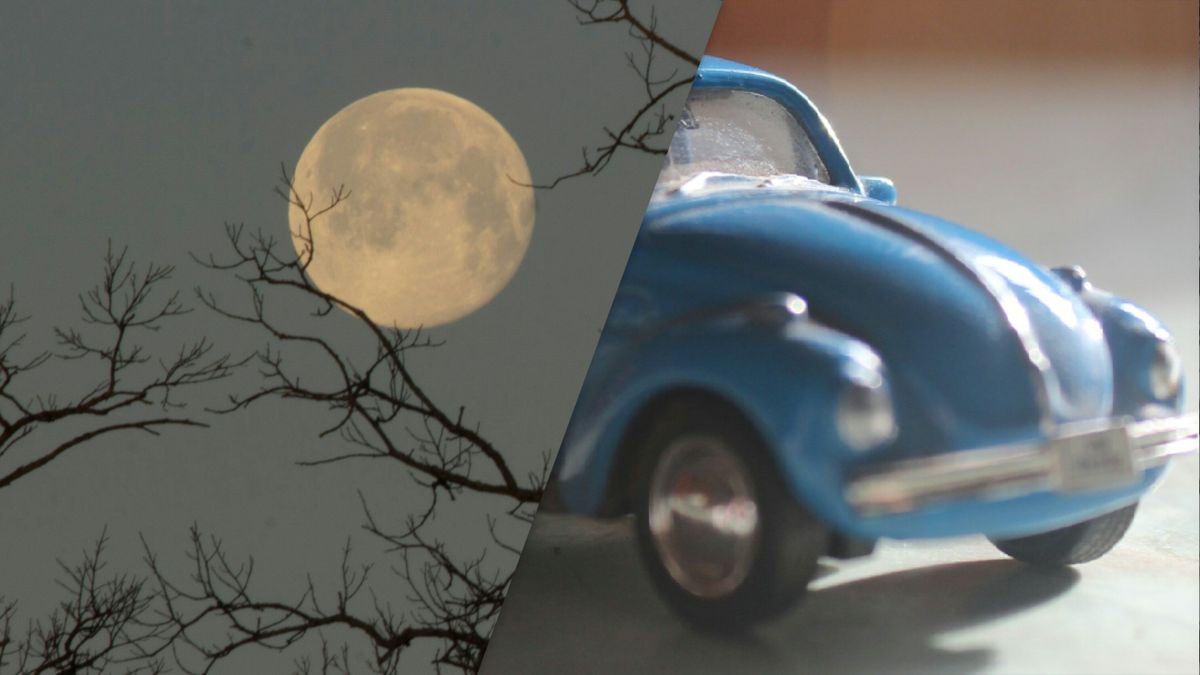 Eropuit dit weekend? Dit is er te doen in Fryslân