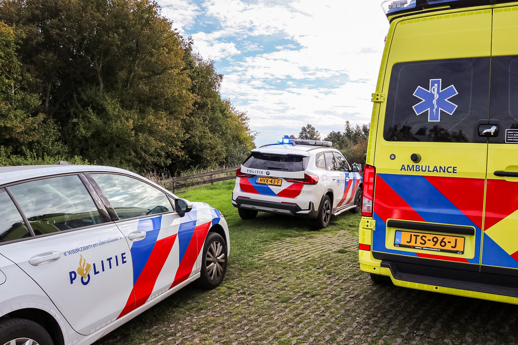 De helptsjinsten op it plak