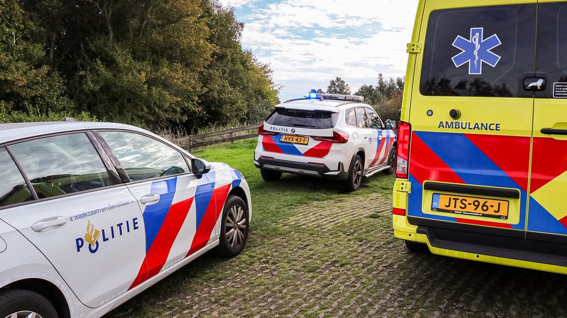 De helptsjinsten op it plak