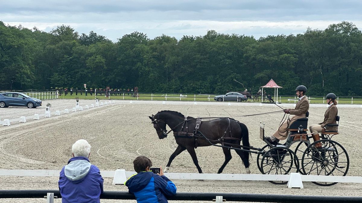 Menners en paarden uit het hele land naar Harich voor NK enkel- en tweespan