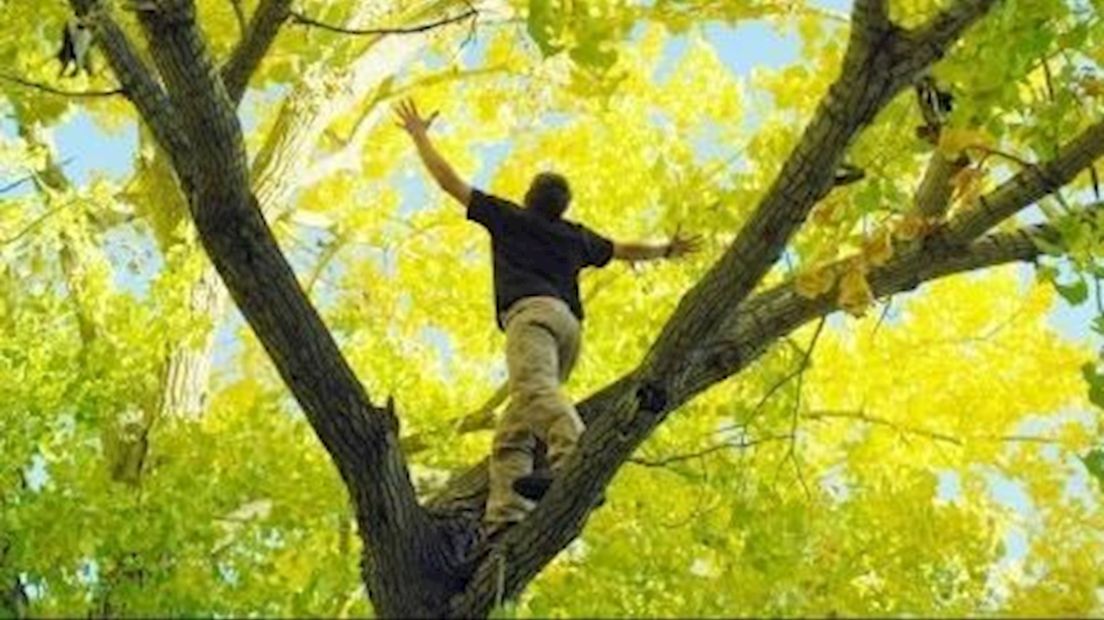 Natuurorganisaties reiken Groene Twinkeling uit