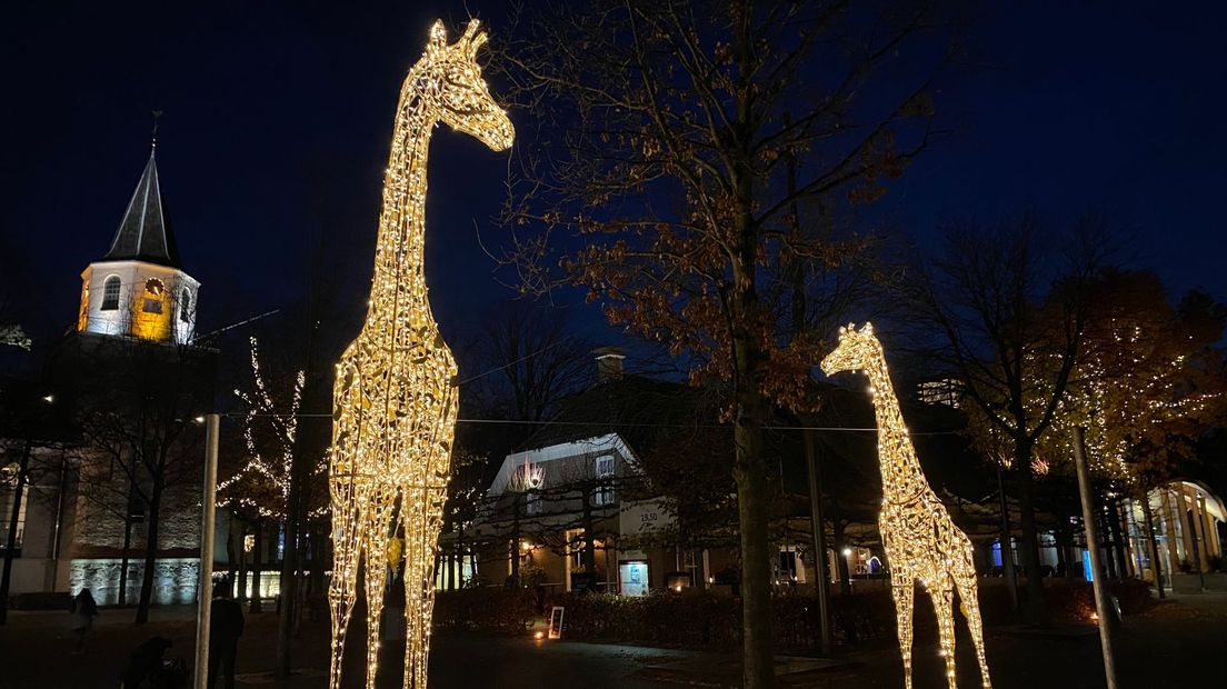 De twee giraffen van ruim zes meter hoog in het centrum van Emmen