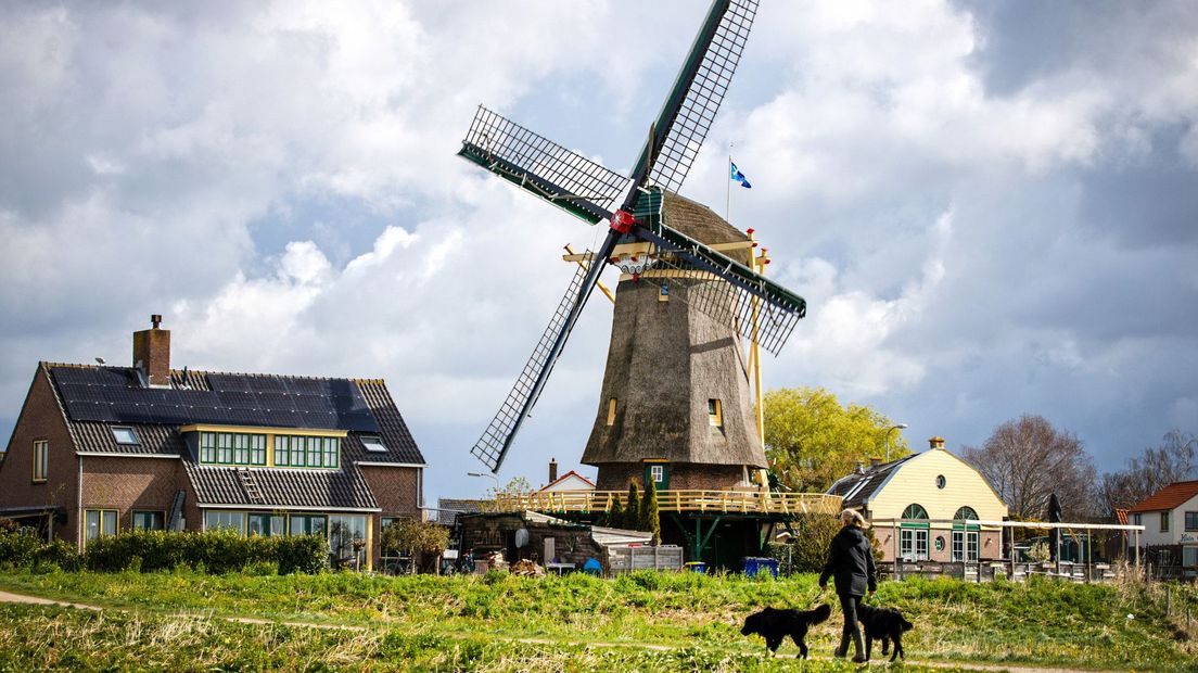 Korenmolen Windlust in Nootdorp, beeld ter illustratie