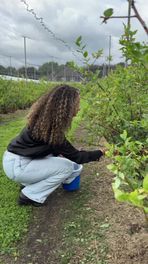 Ontdek Drenthe: De pluktuin