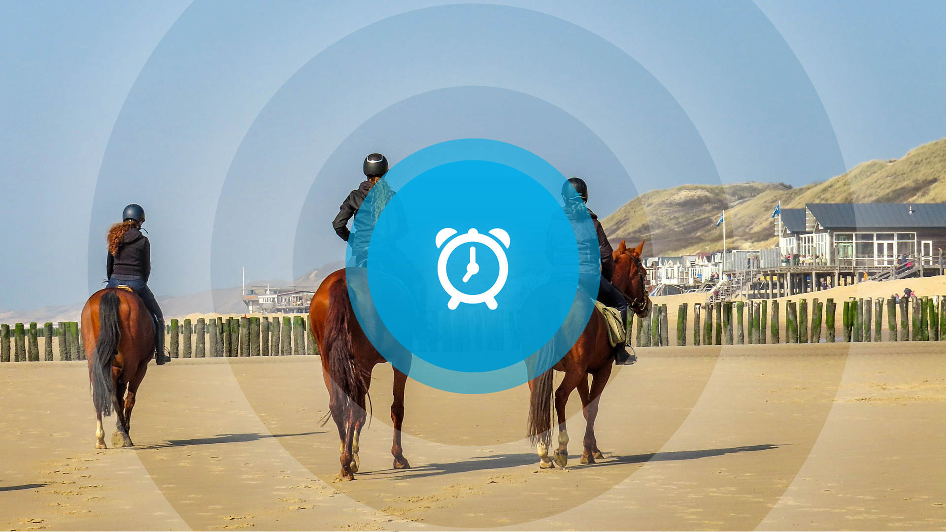 Goedemorgen! Oplichters herkenbaar in beeld, Zeeuwse taalhelden gezocht en start Lentekriebelsweek