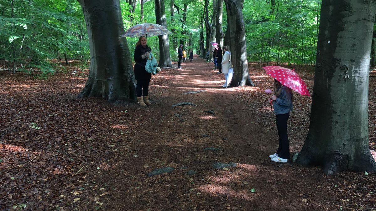 Gemeente Soest mag doorgaan met massale bomenkap Oude Tempel, tegenstanders teleurgesteld