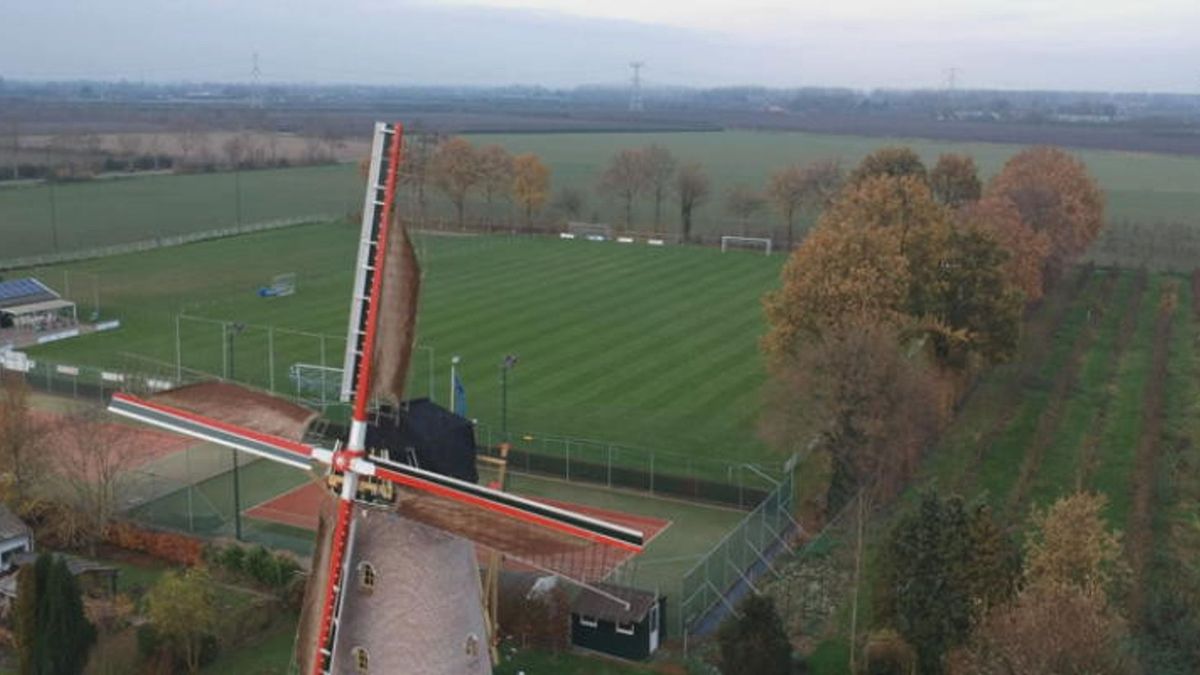 'Het veld van Hoedekenskerke zie ik als één van mijn kindjes'
