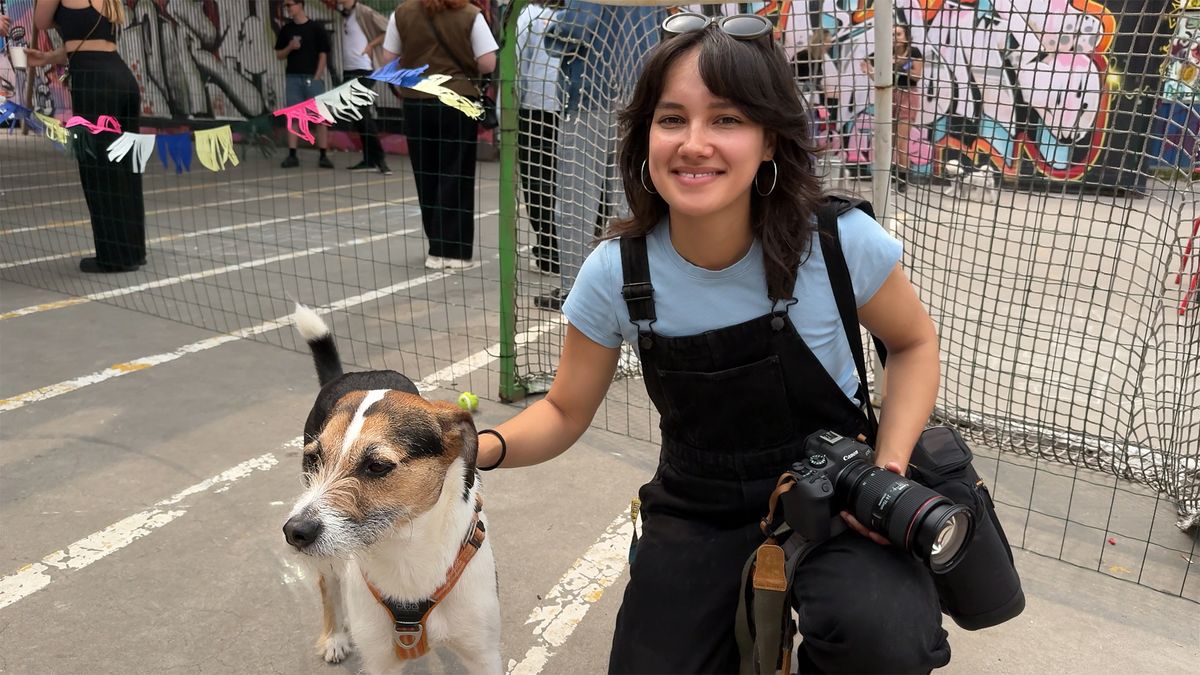 Stuiterende tennisballen en kwispelende staartjes, feest voor honden en baasjes in Utrecht