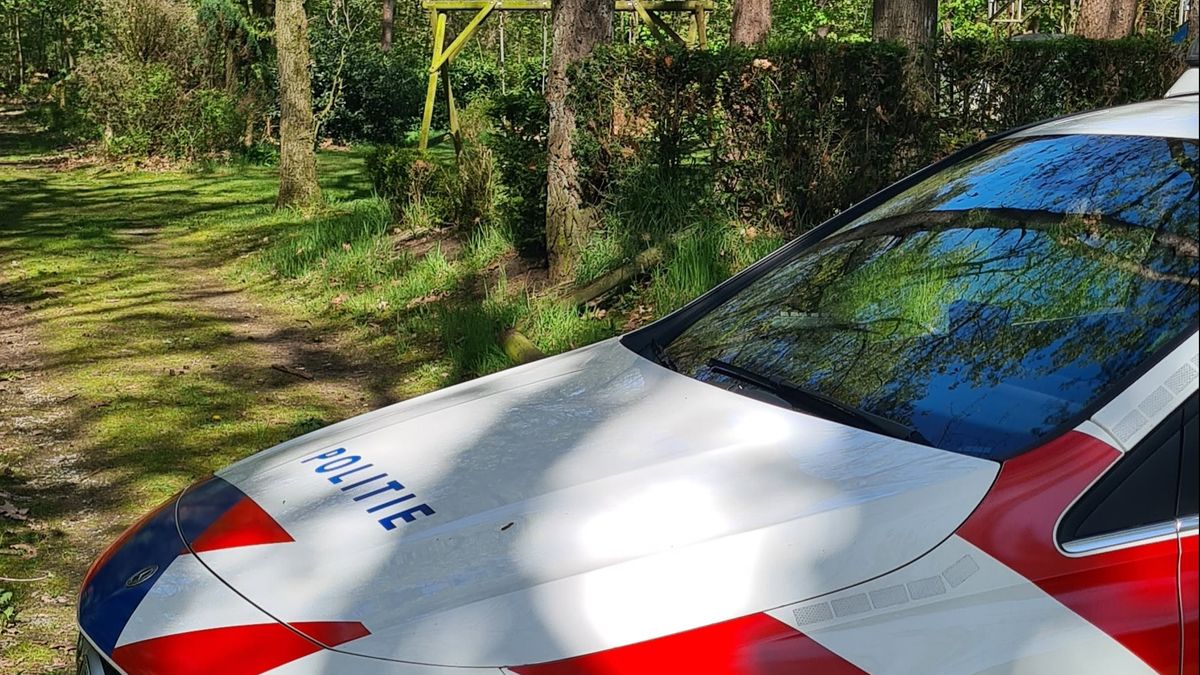 Jongen (7) gebeten door hond in bossen Meterik, eigenaar gezocht