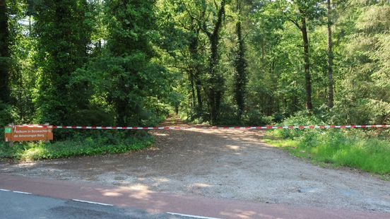 Gewonde vrouw in bos was geen ongeluk: Rotterdammer (27) vast voor poging doodslag Home