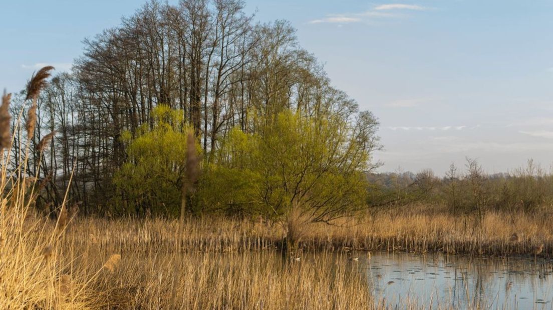 Bron: vogelwerkgroep Doesburg