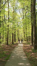 Genieten van zomers weer