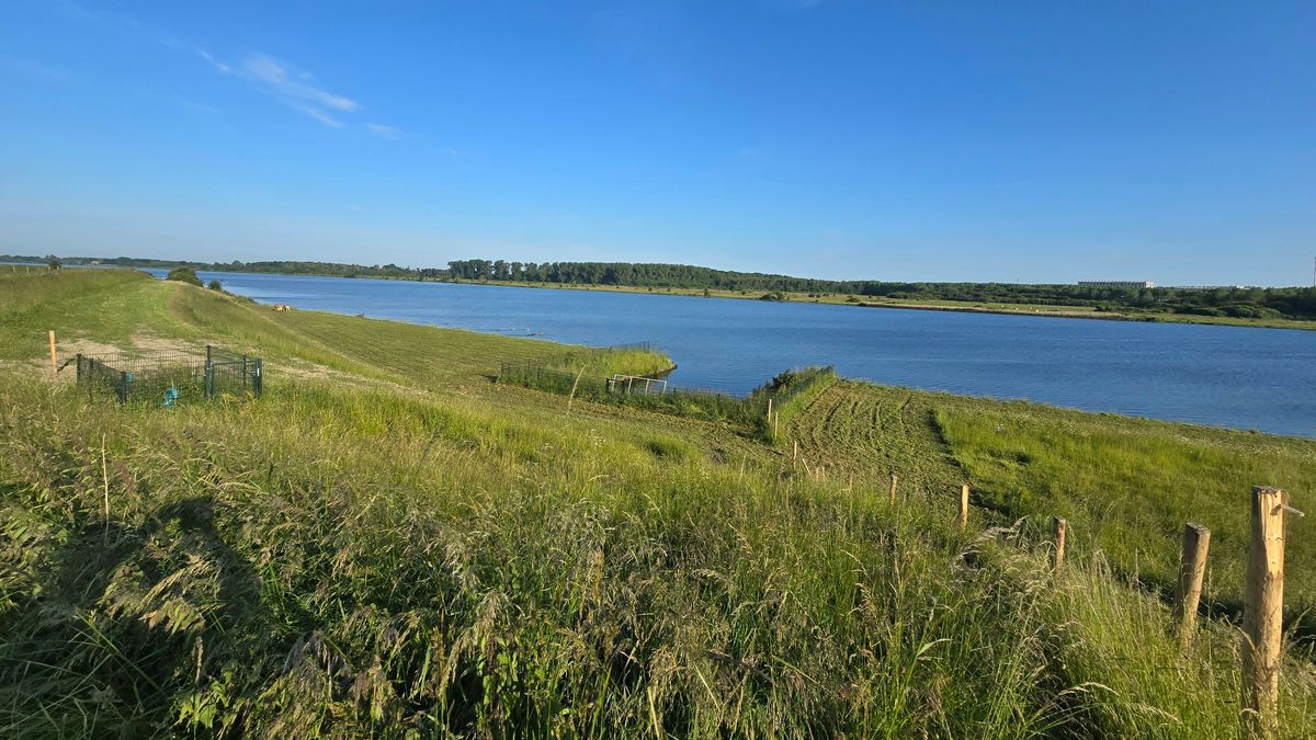 Zeeland krijgt drie nieuwe vispassages