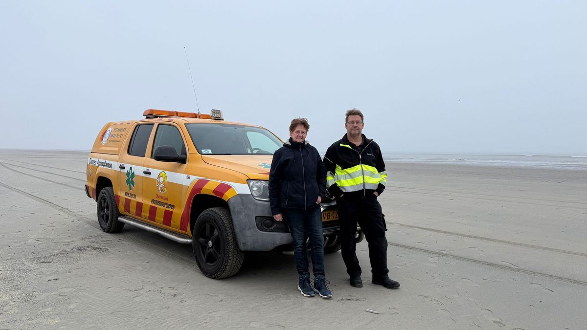 Diere-ambulânse Amelân hat in nije auto nedich: 