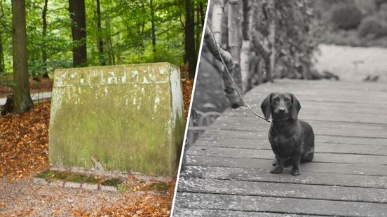 Van urinoir tot hondengraf: wat maakt iets een rijksmonument?