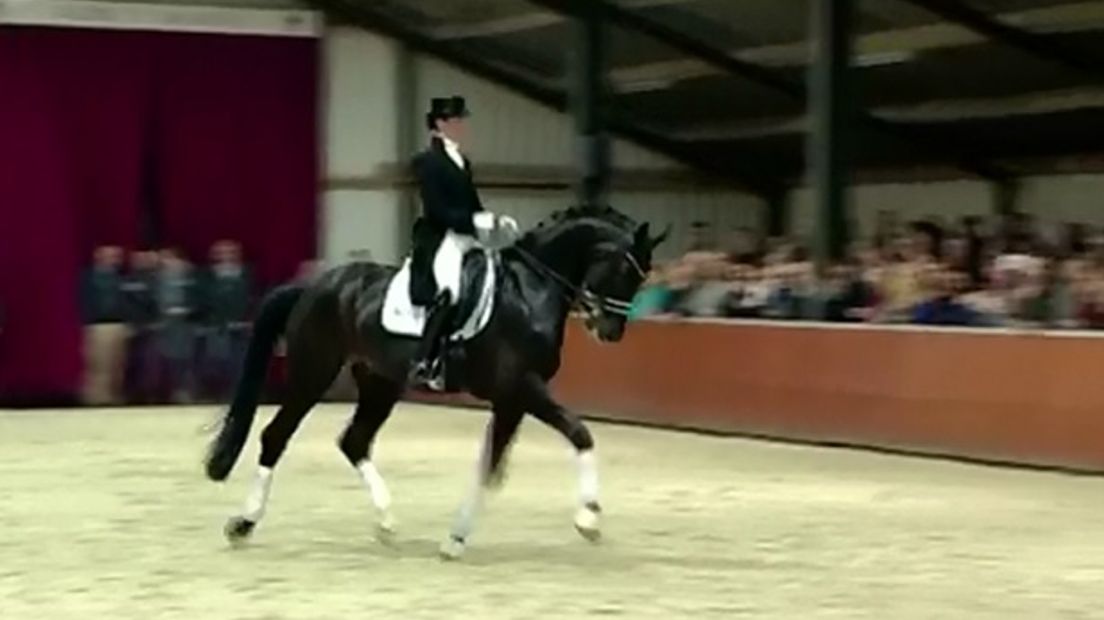 Adelinde Cornelissen; Aqiedo is een toppaard