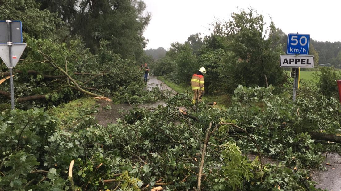 Harde windvlagen zondagmorgen rond Nijkerk. Bomen en takken liggen over de wegen en verschillende panden raakten beschadigd.