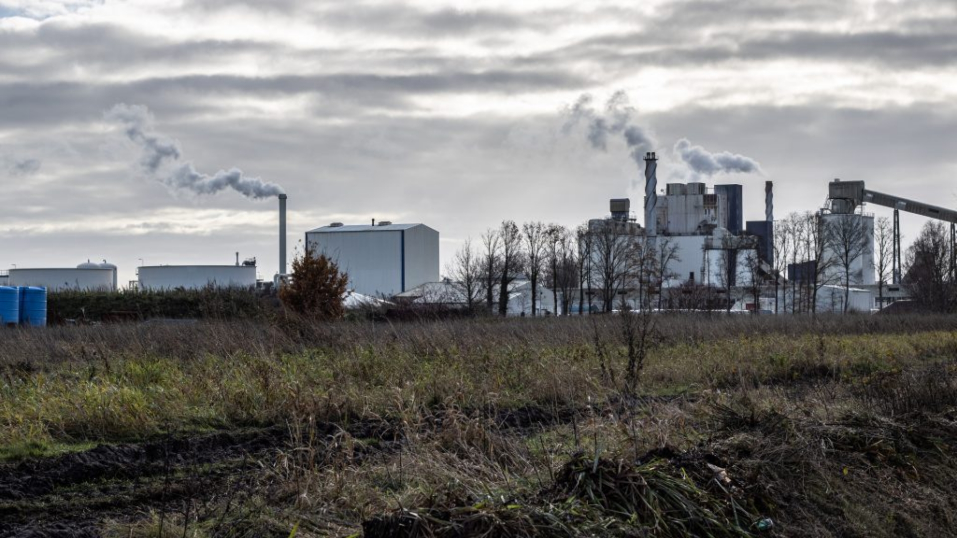 Omwonenden Nedmag opnieuw naar Raad van State: vergunning ter discussie
