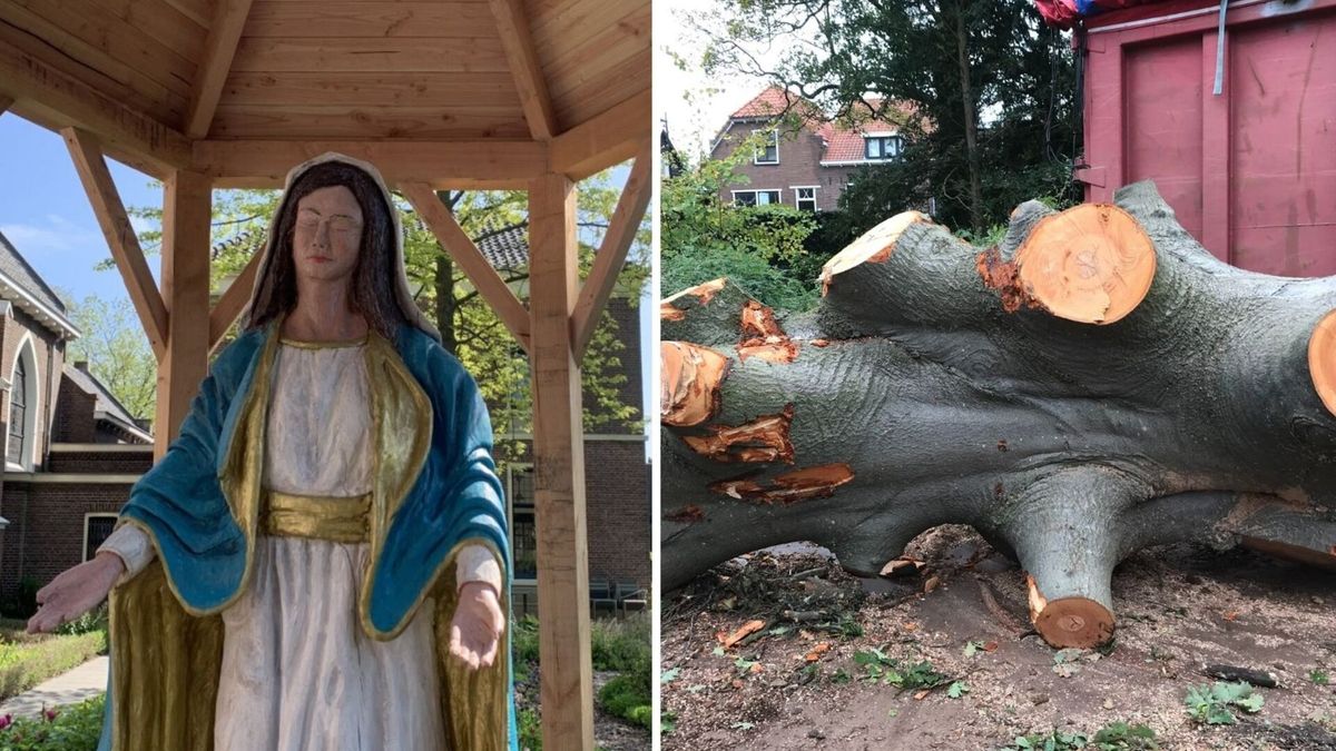Oude beuk keert terug als Mariabeeld in Ovezande