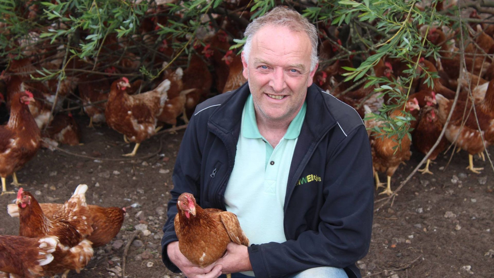 Gekakel Weer Terug Na Vogelgriep Op Boerderij: 'Ruimen Was ...