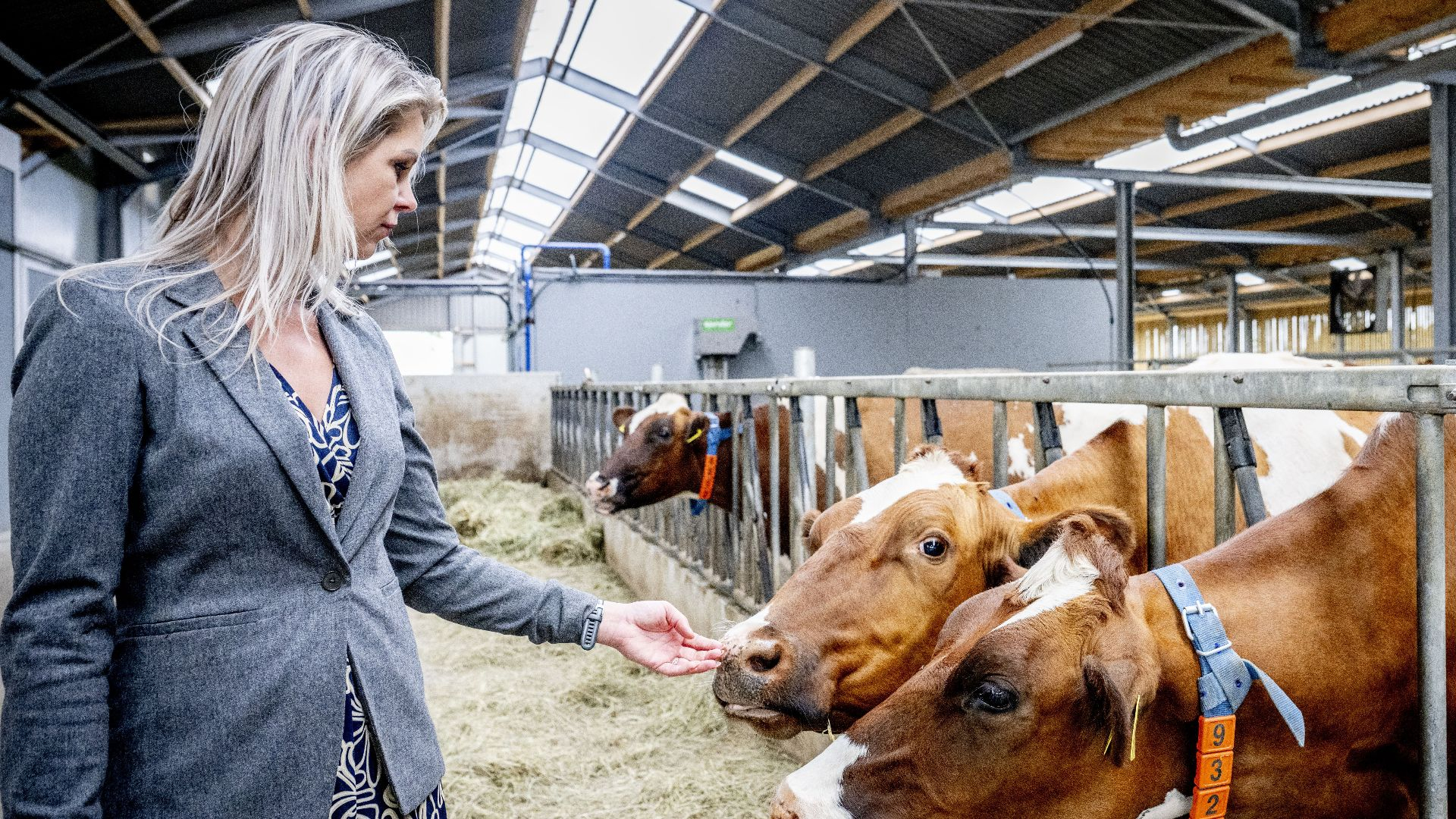Wiersma wil 60.000 boeren opnieuw brief sturen: 'Dat is schijninspraak'