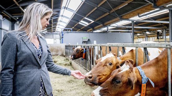 'Schijninspraak' boeren kost miljoenen, adviescollege bekritiseert minister