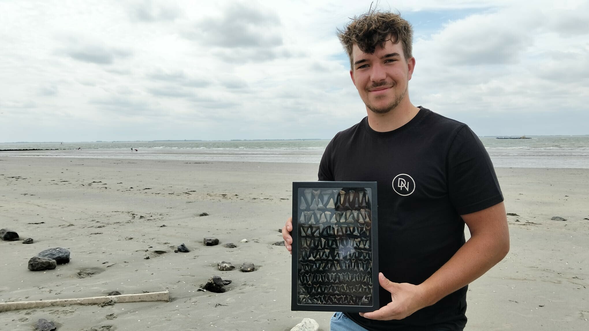 Op jacht naar haaientanden: een stille rage aan de Zeeuwse kust