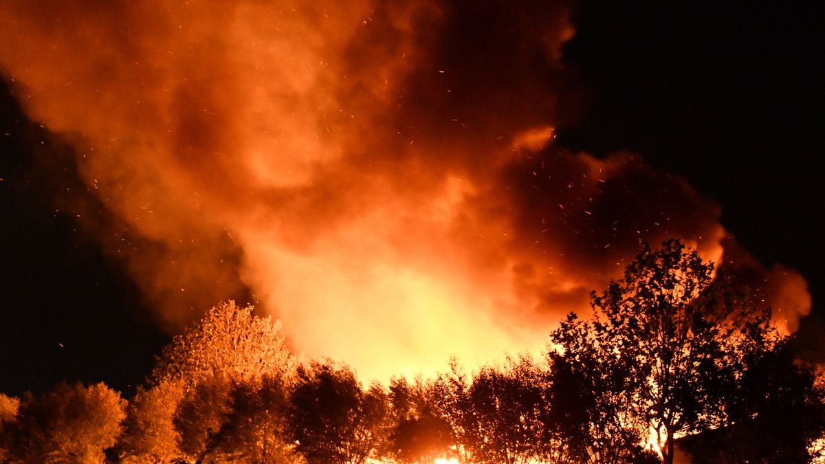 Brand verwoest loods in Nieuwdorp
