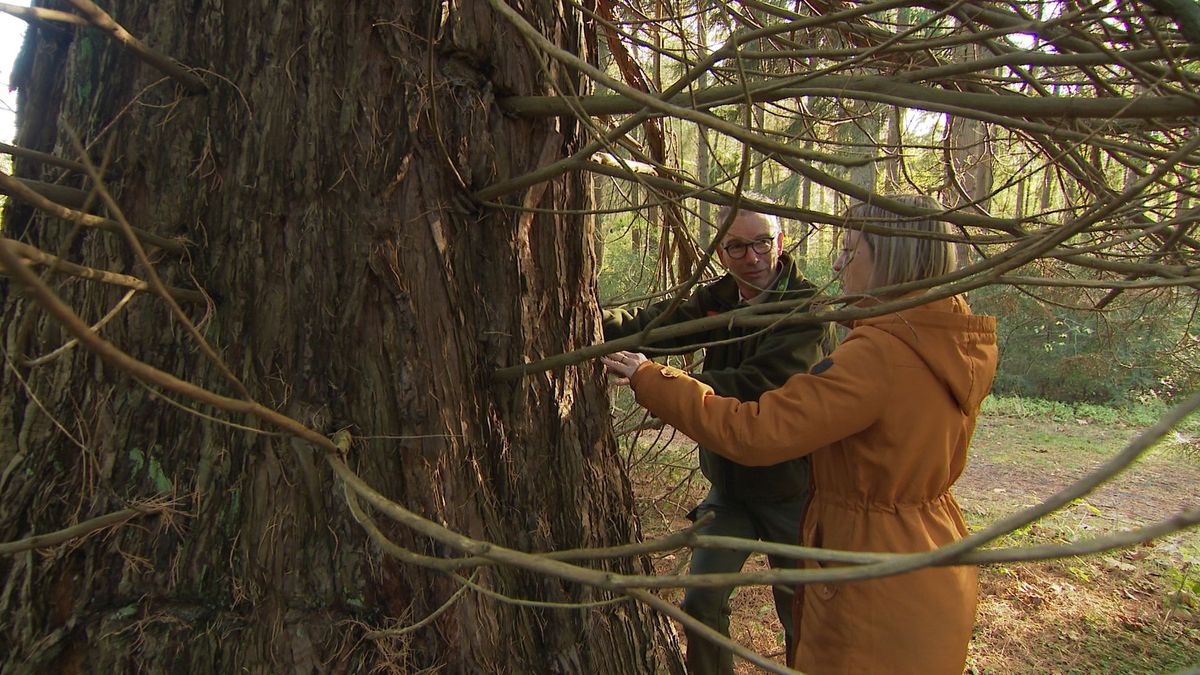 Een stukje Californië in Drenthe