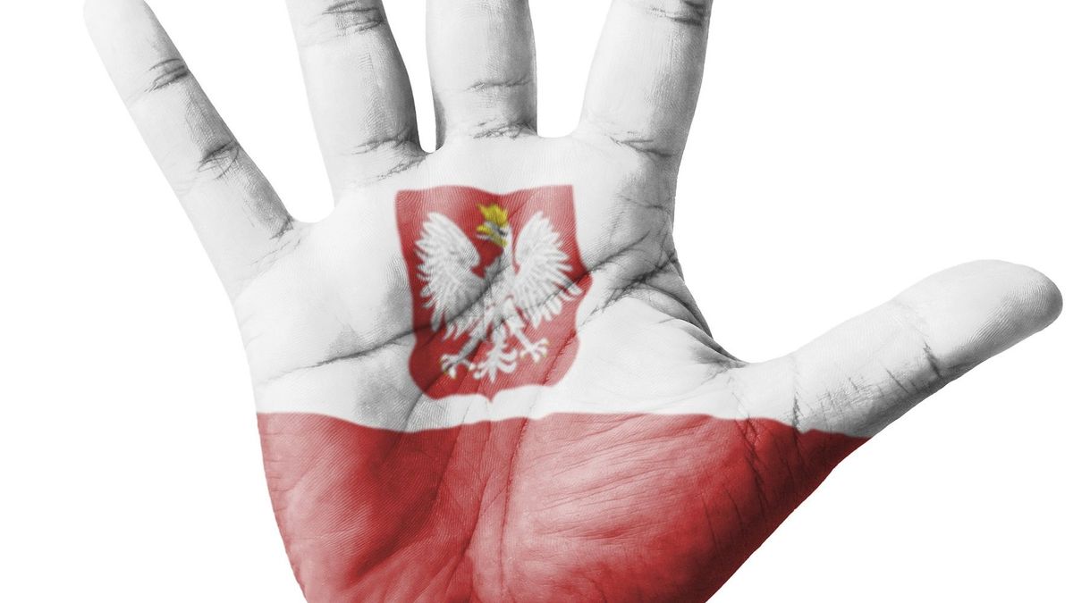 Polen krijgen integratie-kumpel en zeggen hallo