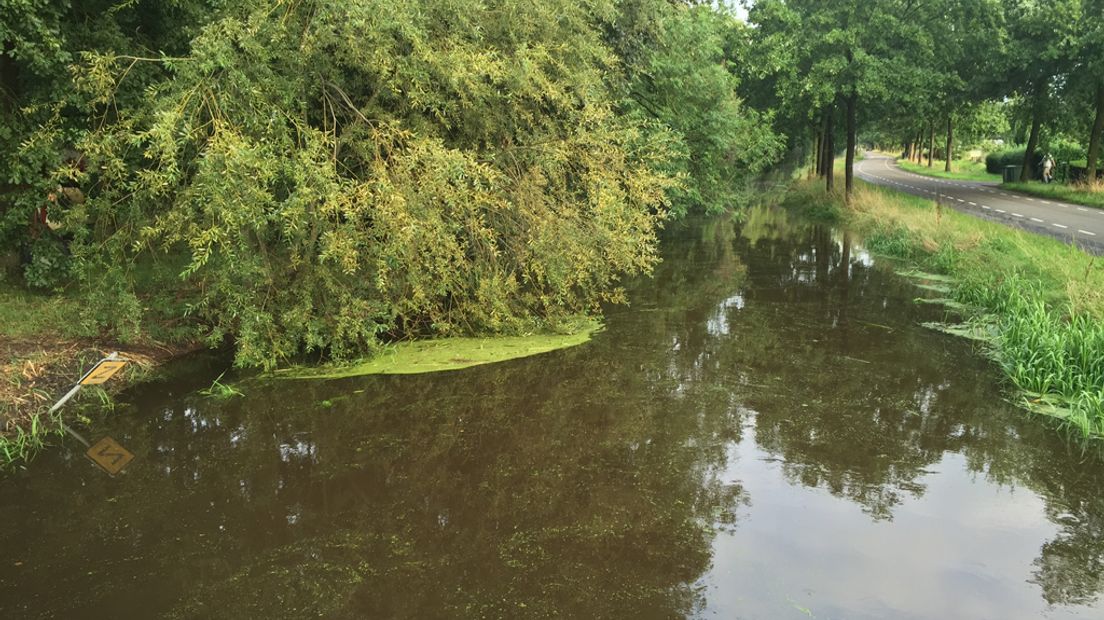 Het hoge waterpeil in de Langbroekerwetering