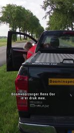 Eikenprocessierups overwint