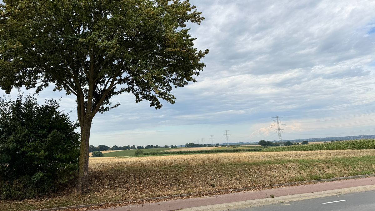 Organisatie doet voorstel locatie voor OLS 2027