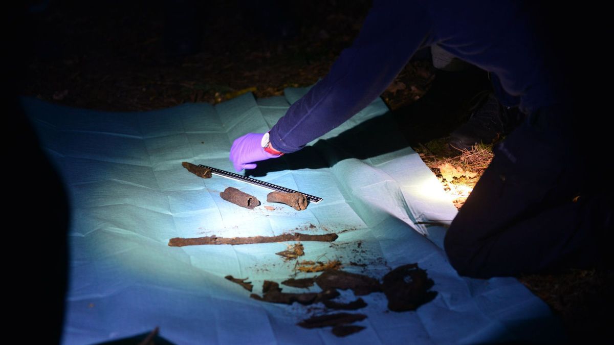 Botresten gevonden in bosgebied Leveroy