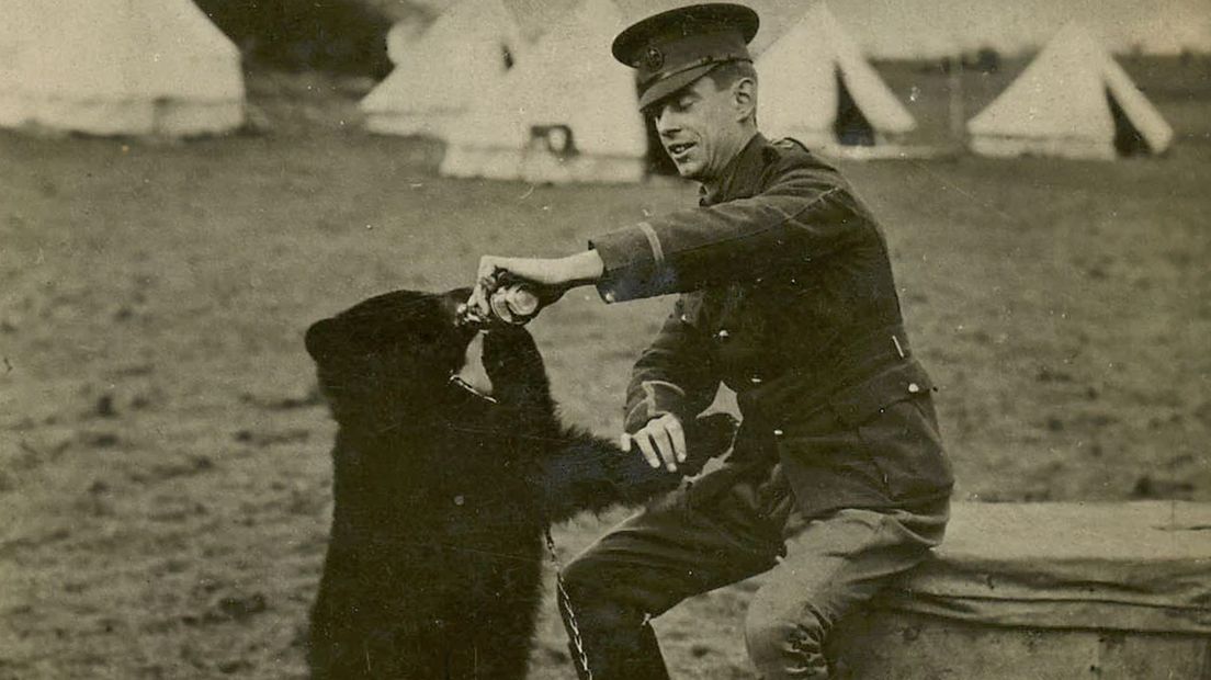 Illustrator Ernest Howard Shepard met Winnipeg, de beer die de inspiratie was voor Winnie de Poeh.