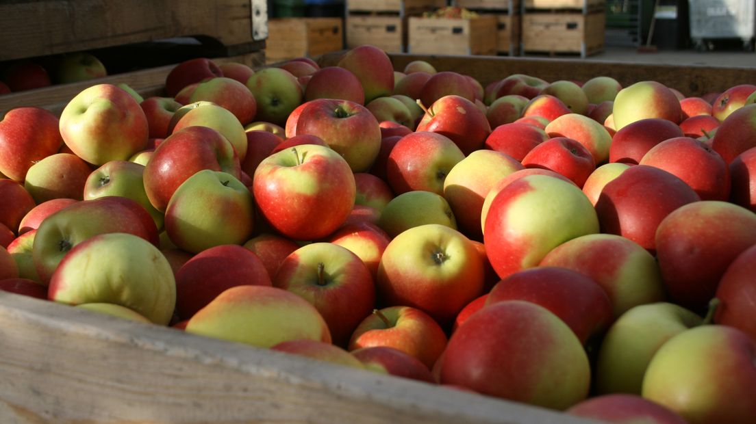 AVEZAATH - In de supermarkt is een kilo appels goedkoper dan ooit.